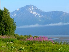 Turnagain Arm scene