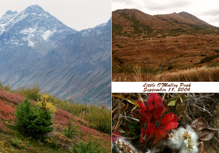 Little O'Malley Trail